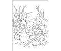 Peter Rabbit15