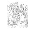 Peter Rabbit16
