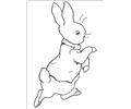 Peter Rabbit20