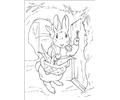 Peter Rabbit25