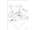 Peter Rabbit26