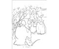 Peter Rabbit27