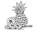 20 Resting Against A Whole Fruit