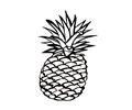 63  Pages Photo Pineapple Dm9547