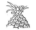 Pineapple 8