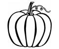 Pumpkin 02 Lrg