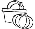 Pumpkin 17 