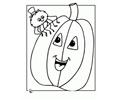 Pumpkin 20