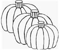Pumpkin 22 Lrg