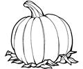 Pumpkin 2 