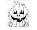 Pumpkin2
