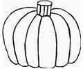  Pumpkin5lrg