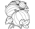 Vegetable03