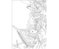 Rainbow Fish001 (16)