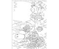 Rainbow Fish001 (18)