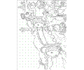 Rainbow Fish001 (21)