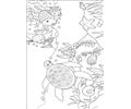 Rainbow Fish001 (4)
