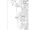 Rainbow Fish001 (8)