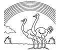 Rainbow and Ostrich