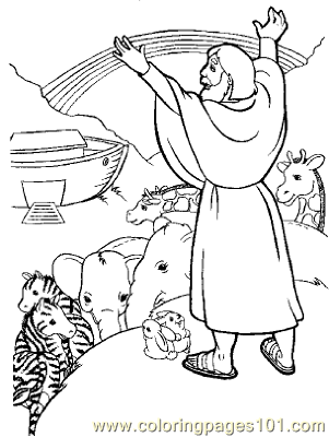 Noah 20