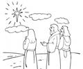 Star Of Bethlehem