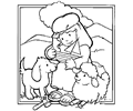 Bible 26