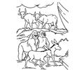 Noah 16