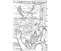 Noah 19