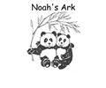 Noah 8