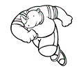 Rhino