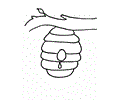 hive