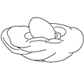 nest2