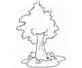 tree4