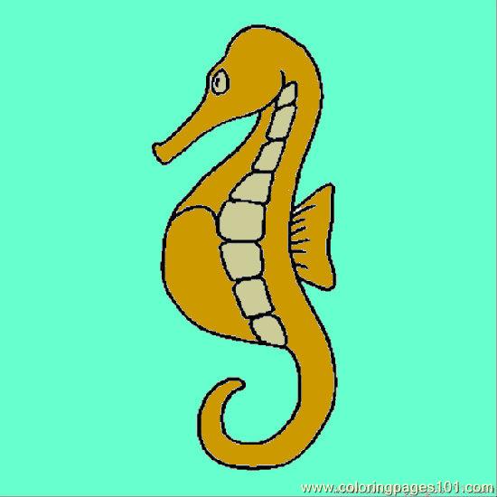 Sea Horse