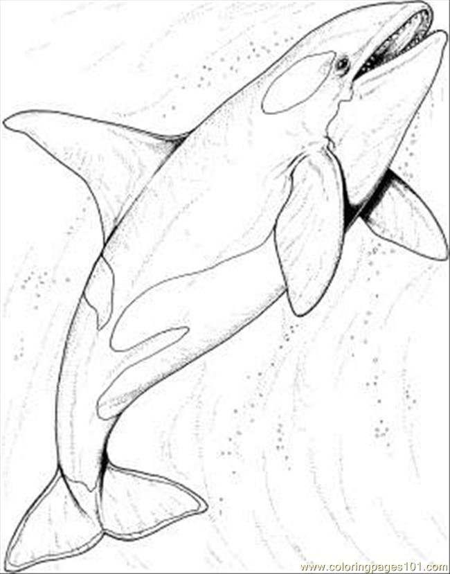 Coloring Pages The Ocean Coloring Page (Natural World > Seas and Oceans
