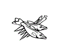 3222-eps_15_fish