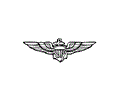 Pilot wings
