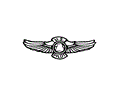 Pilot wings4