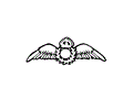Pilot wings6