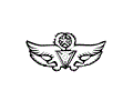 Pilot wings 2