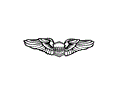 Pilot wings