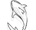 Whale Shark Ink