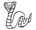 King Cobra
