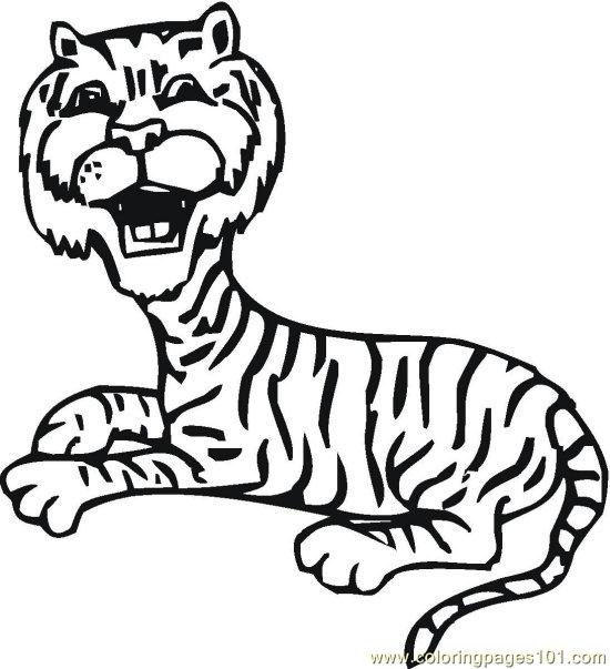 Lionsandtigers (4)