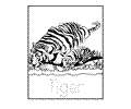 26 Zoo Babies Tiger