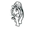 44 Tiger Coloring Pages Free Med