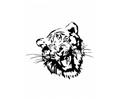 62 Tiger Coloring Pages 9 Med