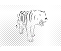 72 Tiger Coloring Page 12133