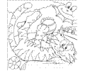 75 Tiger Colouring