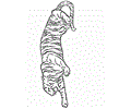 Tiger Coloring 10